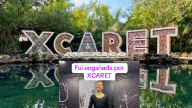 Diseño sin título