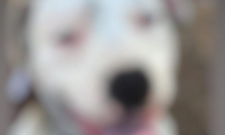 Img 1626.jpeg