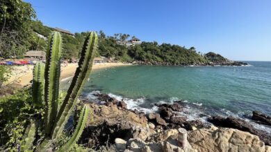 Playa carrizalillo in puerto escondido e1750932462145.jpg