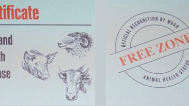 Certificate free foot mouth disease.jpg