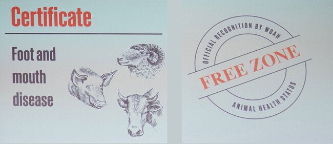 Certificate free foot mouth disease.jpg