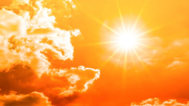 F1280x720 299860 431535 5050.png