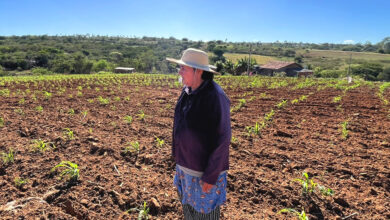 Header feira de agricultura familiar em caruaru.jpg