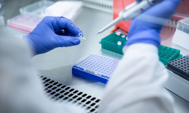 Laboratory diagnostics.jpg