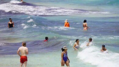 1035725 turismo playas con sargazo impreso.jpg