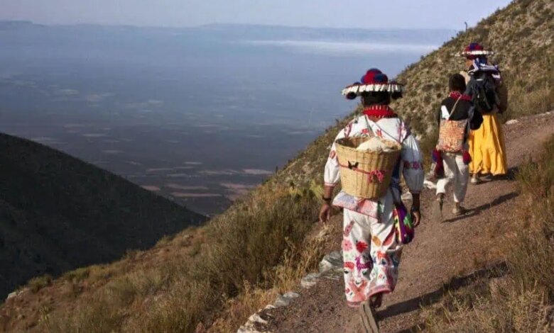 1752638339 1039600 ruta wixarika patrimonio mundial impreso.jpg
