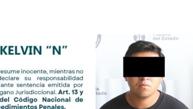 3347321.jpg
