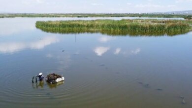 990960 parque ecologico lago texcoco impreso.jpg