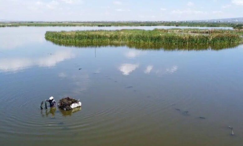 990960 parque ecologico lago texcoco impreso.jpg