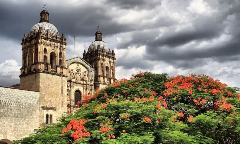 Florecer en oaxaca.jpg
