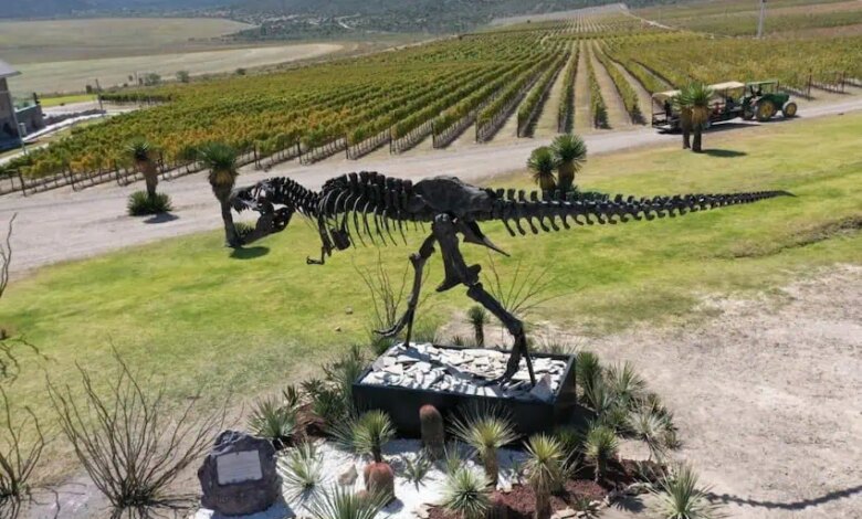 Vinedos don leo con su icono paleontologico t rex.jpg