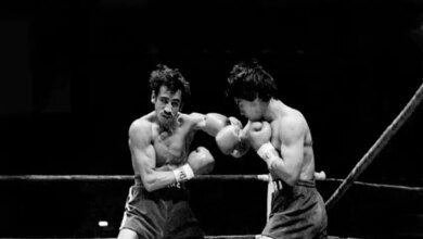 World boxing council use.jpg