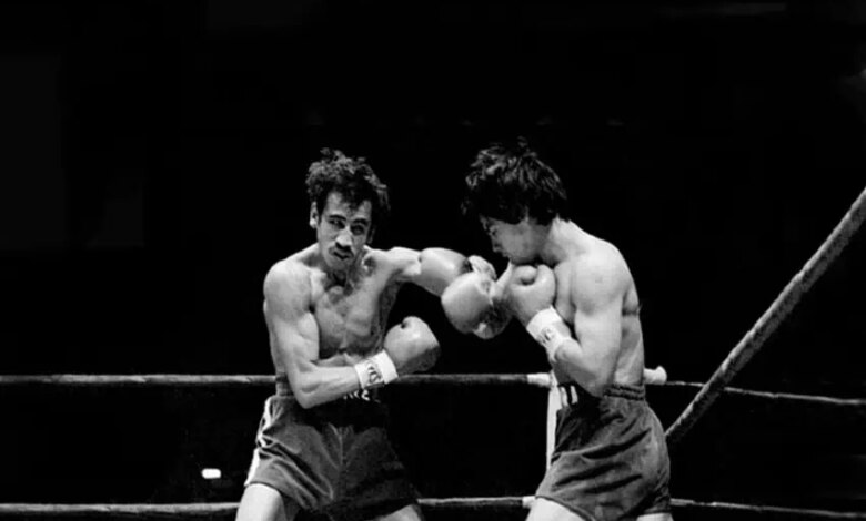 World boxing council use.jpg