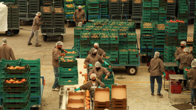 1043497 agroindustria tomates zacatecas impreso.jpg