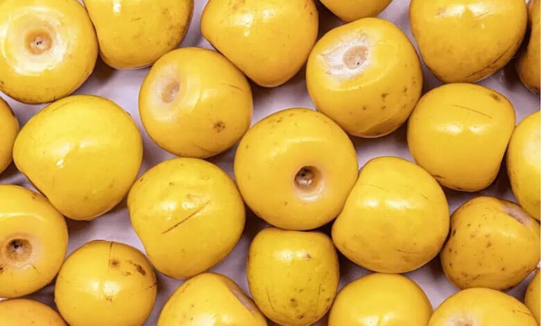 Nance fruits in guatemala guatemalan fruits copy.jpg