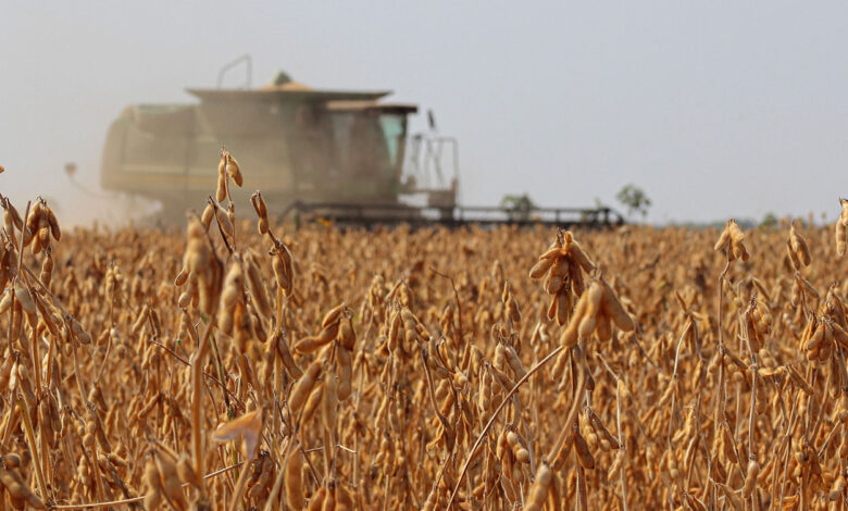 Header relatorio agro.jpg