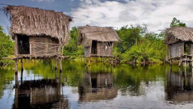 La tovara san blas nayarit cabanas.jpg