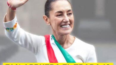 536613003 1244216374416973 7196042110631861413 n.jpg